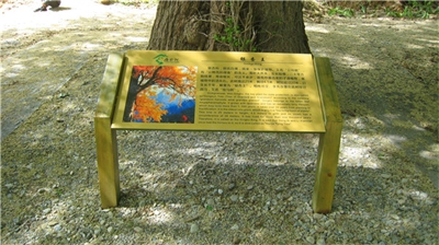 景區(qū)標(biāo)識的作用